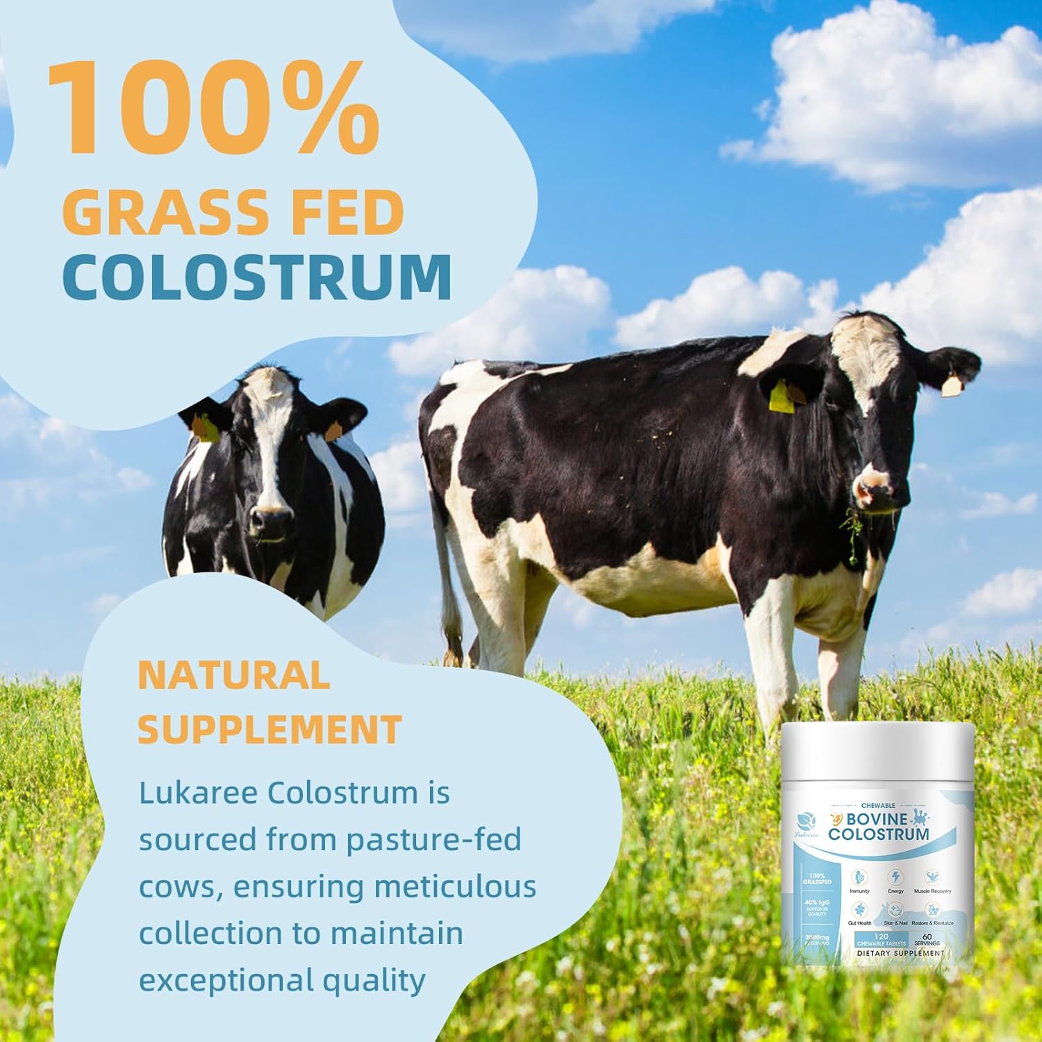 Bovine Colostrum Chewable Tablets Sugar Free